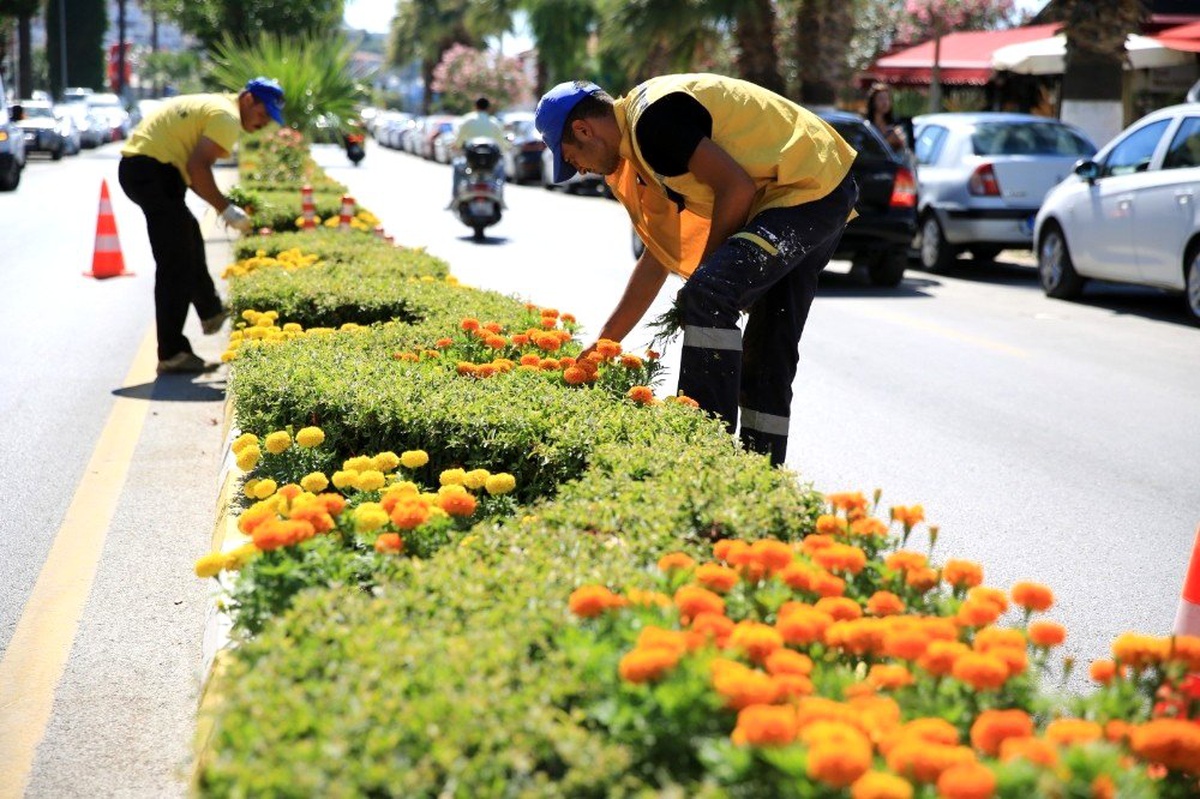 Büyükşehir Kuşadası\'nı çiçeklerle donattı