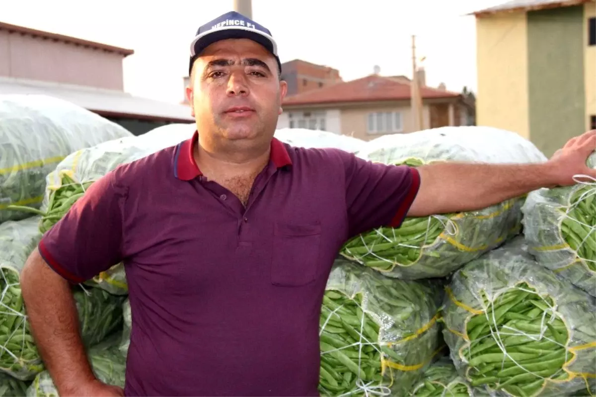 Fasulye fiyatlarında düşüş başladı