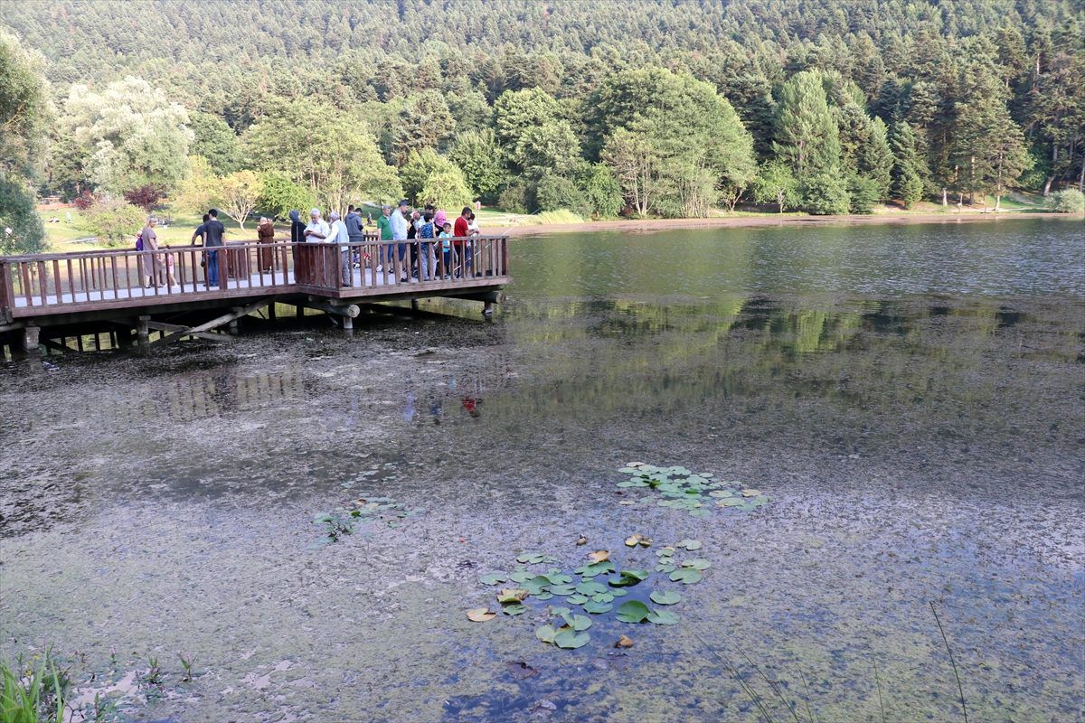 Gölcük Tabiat Parkı\'nda temizlik