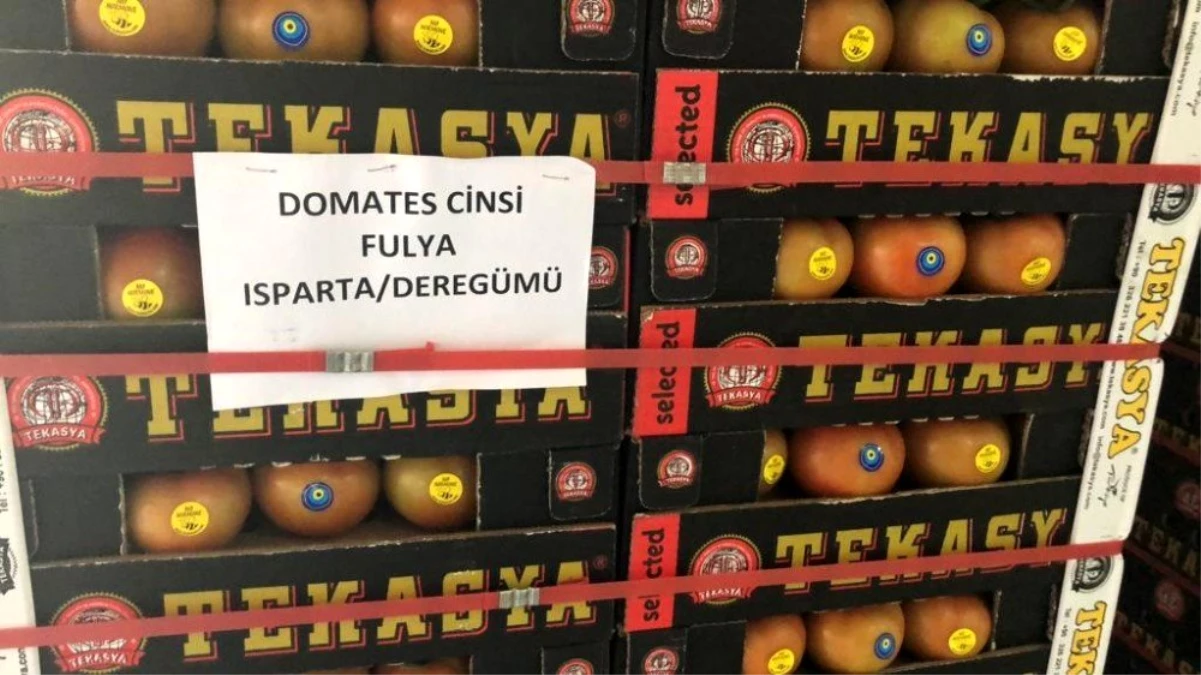 Isparta\'dan 3 ülkeye 521 tonluk domates ihracatı