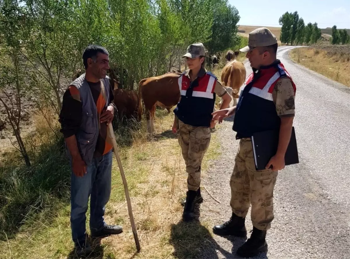 Jandarmadan hayvan hırsızlığına karşı uyarı