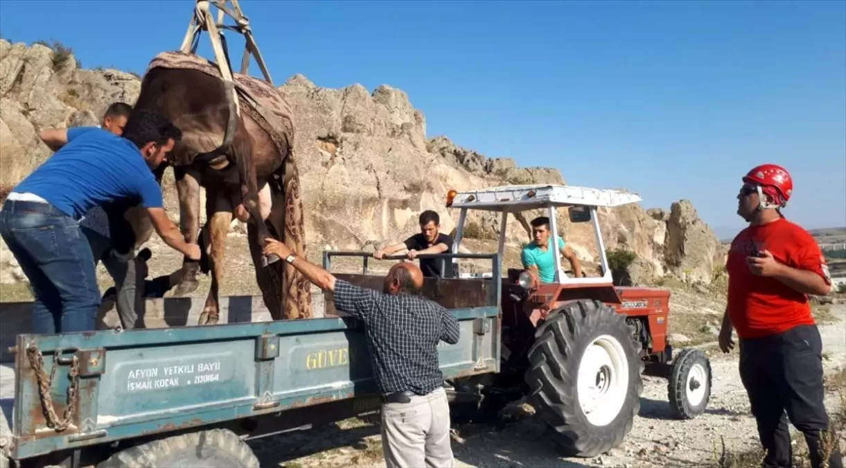 Kayadan yuvarlanıp çukura düşen inek kurtarıldı