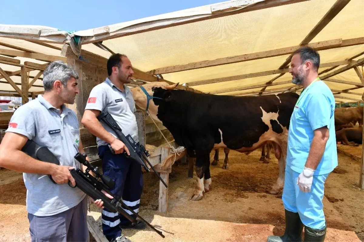 Kurban yakalama timi bayrama hazır