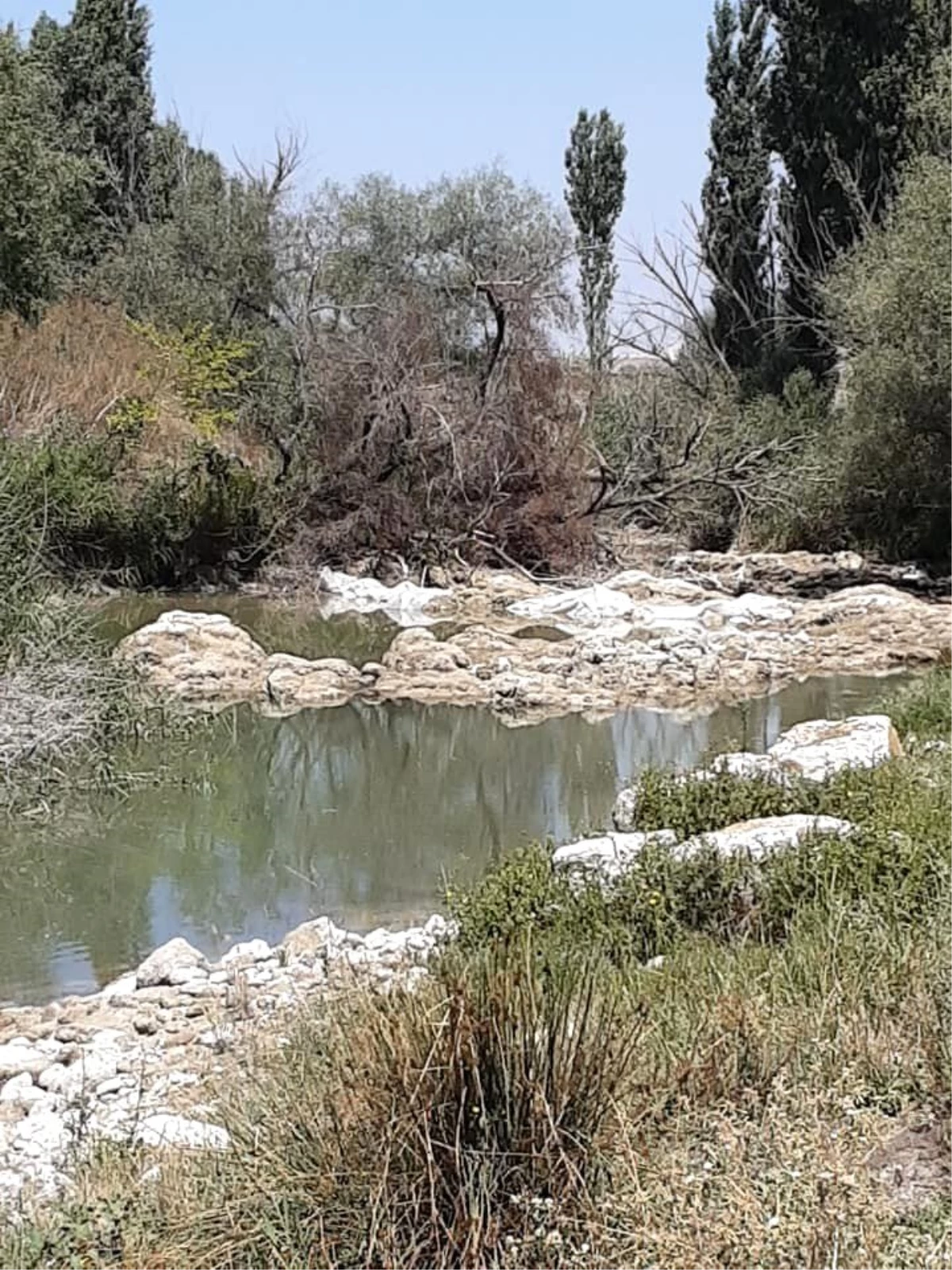 Sakarya nehir yatağı kuruyunca çiftçilere 5 gün sulama yasağı getirildi