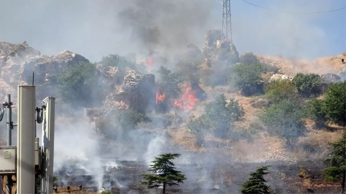 Tokat\'ta aşırı sıcaklar ot yangınına neden oldu