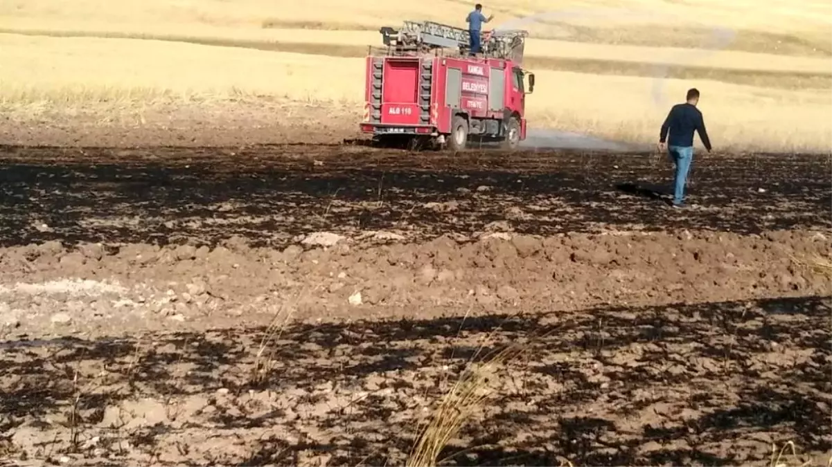 70 dönüm ekibi buğday tarlası yandı