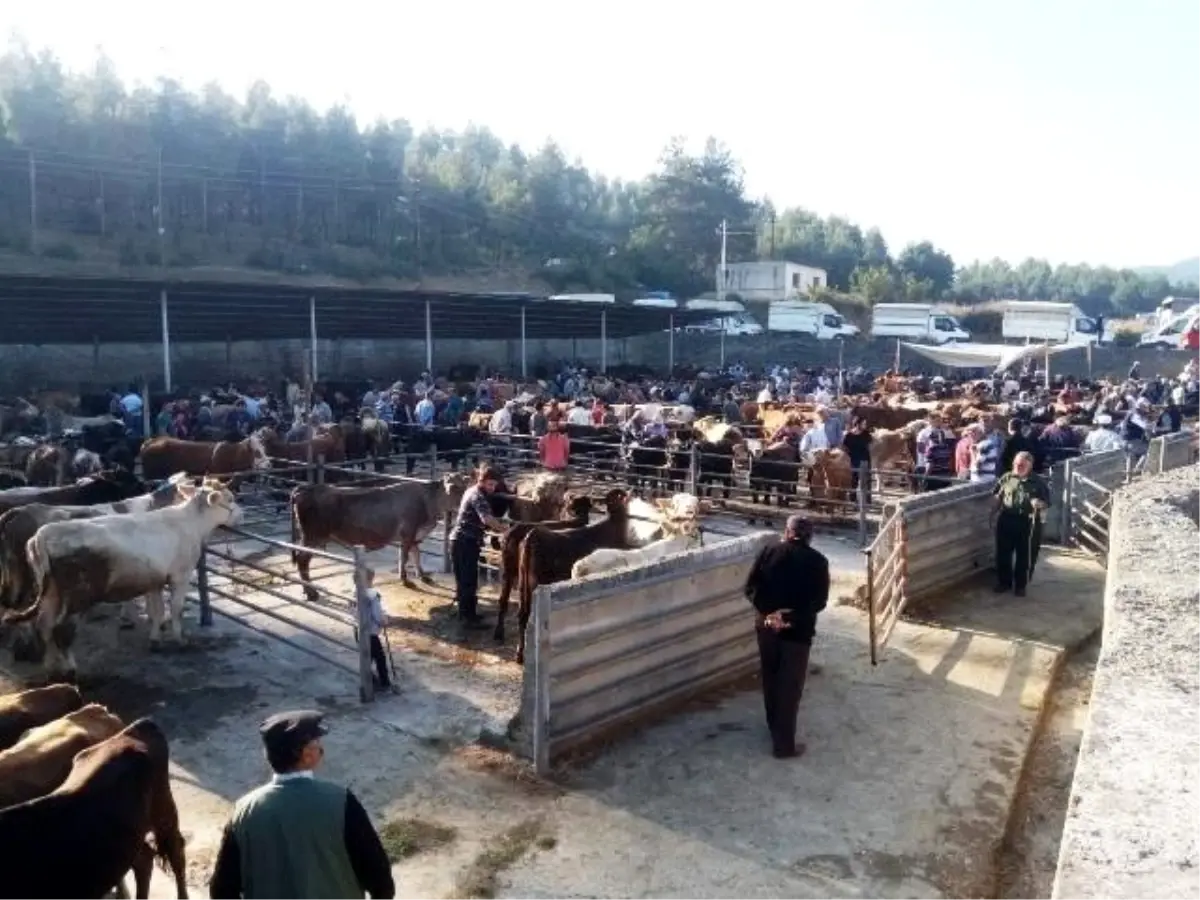 Boyabat Belediyesinden kurban tedbirleri