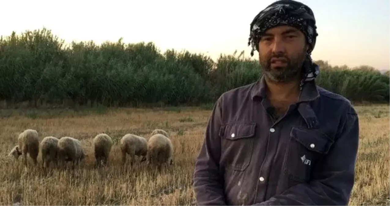 Demokratik Sol Parti Belediye Başkan Adayı siyaseti bırakıp çobanlığa başladı!