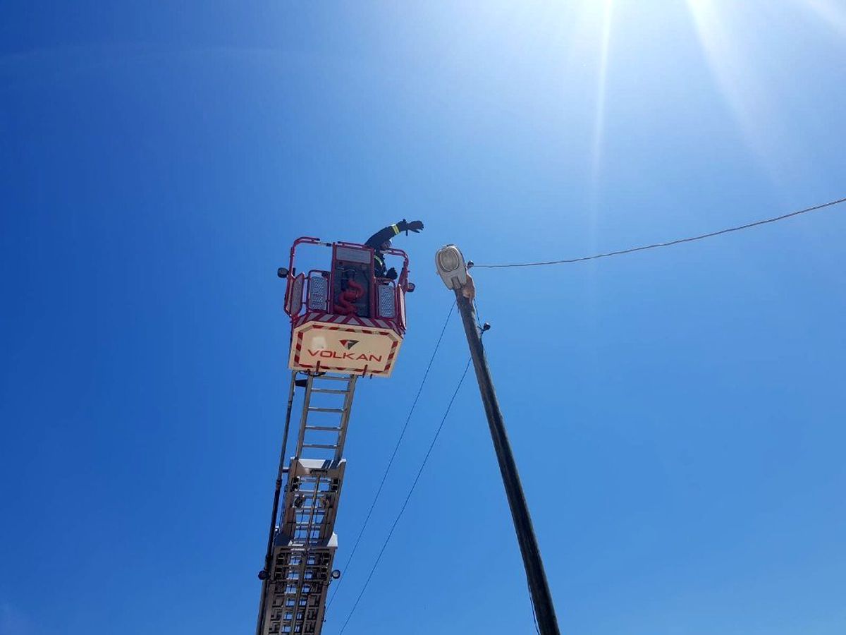 Elektrik direğinde mahsur kalan kedi itfaiye tarafından kurtarıldı