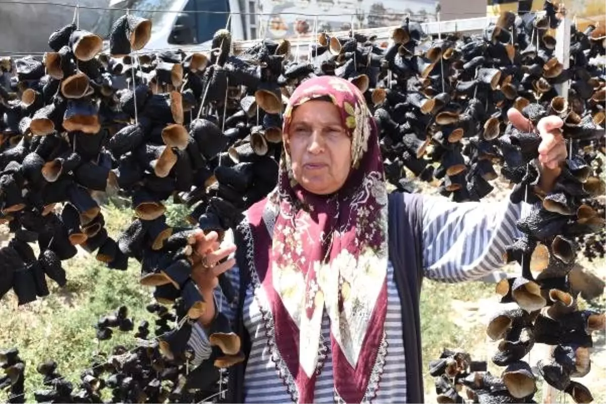 Küçük mahallede kuruyor, dünya sofralarını süslüyor