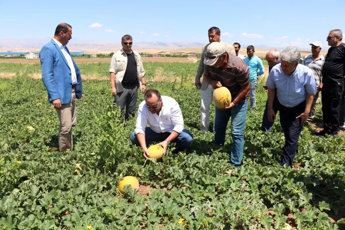 Milletvekili Ağar Tarım Arazilerinde incelemelerde bulundu