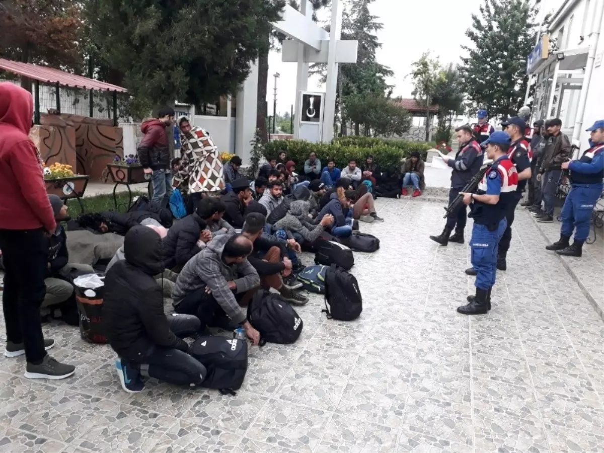 Tekirdağ\'da 141 kaçak göçmen ve 9 organizatör yakalandı