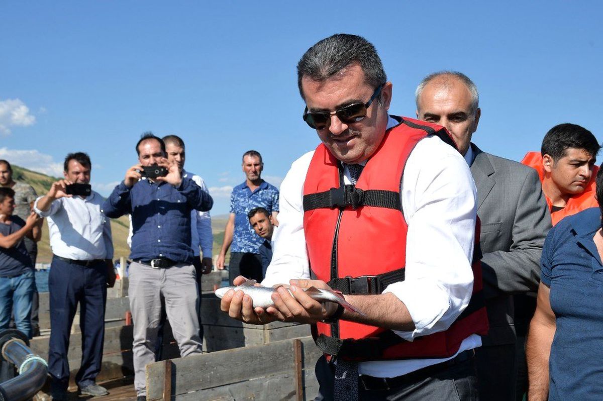 Vali Memiş, elleriyle balıkları besledi