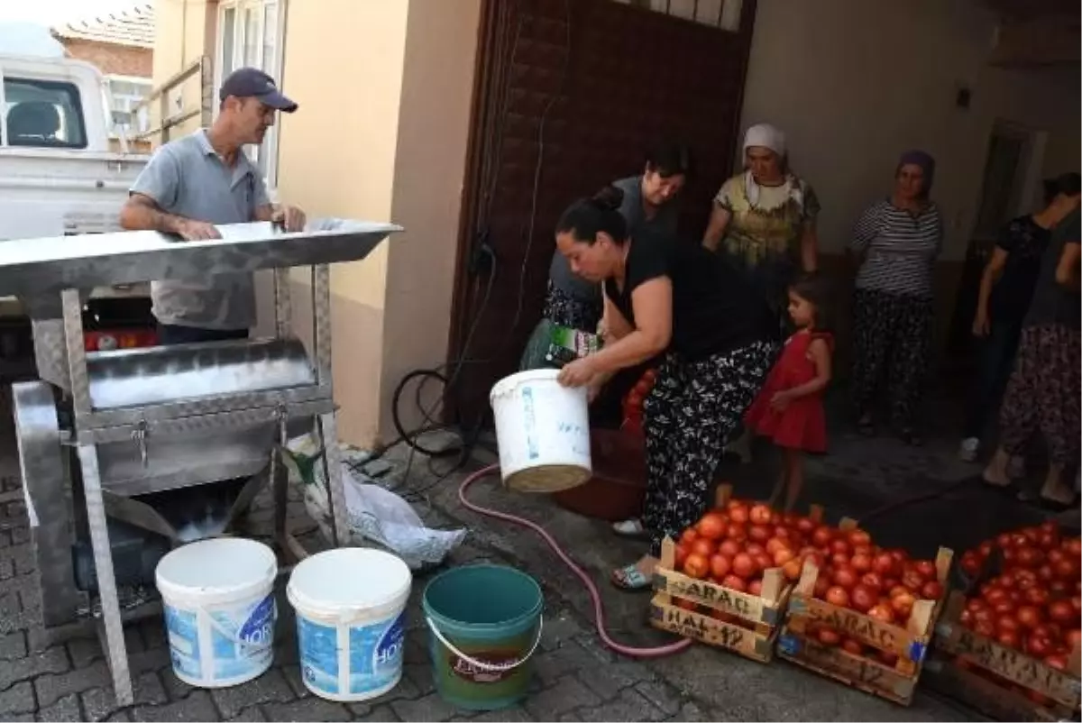 Bu kez salça yapmadılar, yapımını seyrettiler