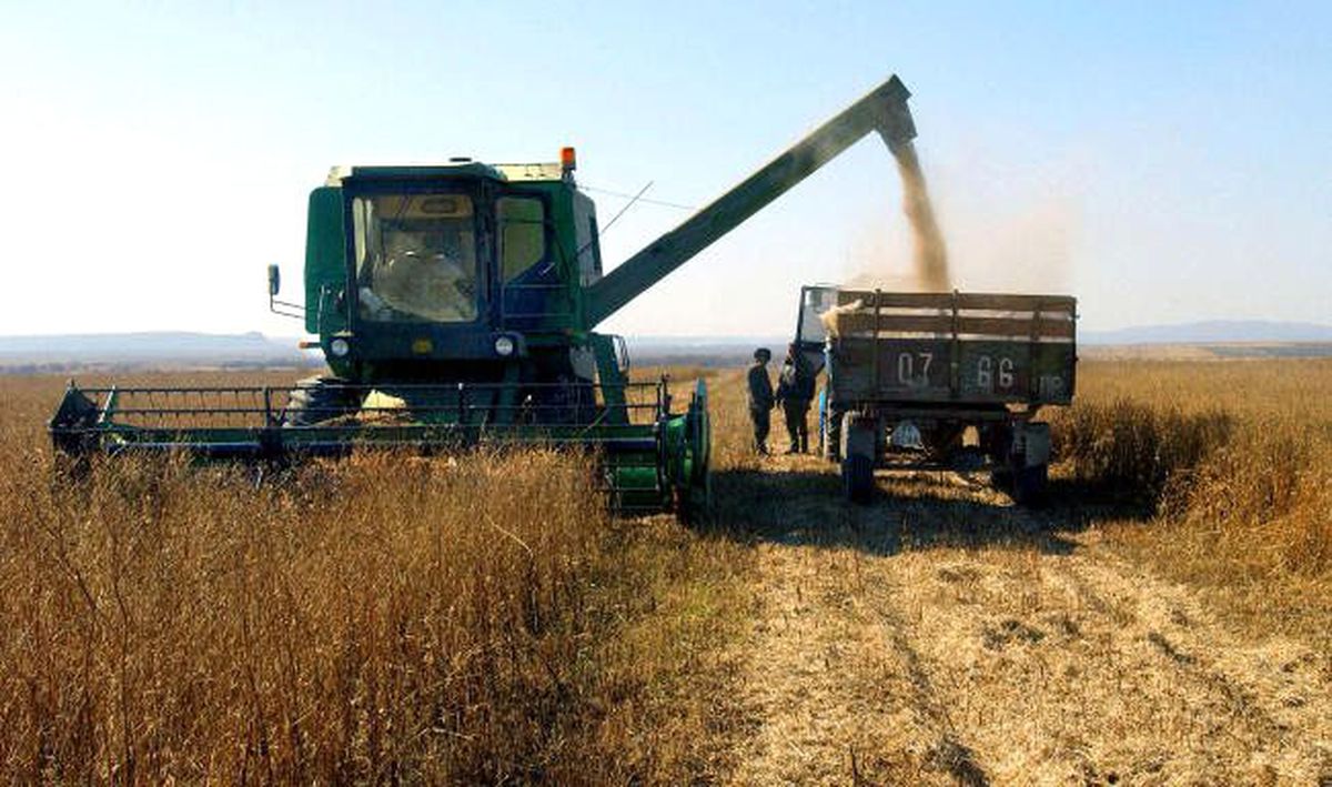 Çin, Rusya\'dan ithal ettiği soya miktarını artırmak istiyor