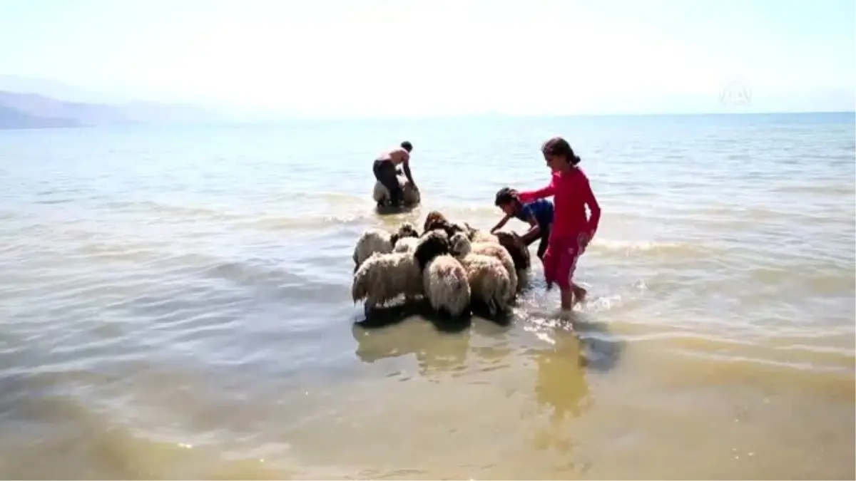 Çocukları ve kuzularıyla Van Gölü\'nde serinledi