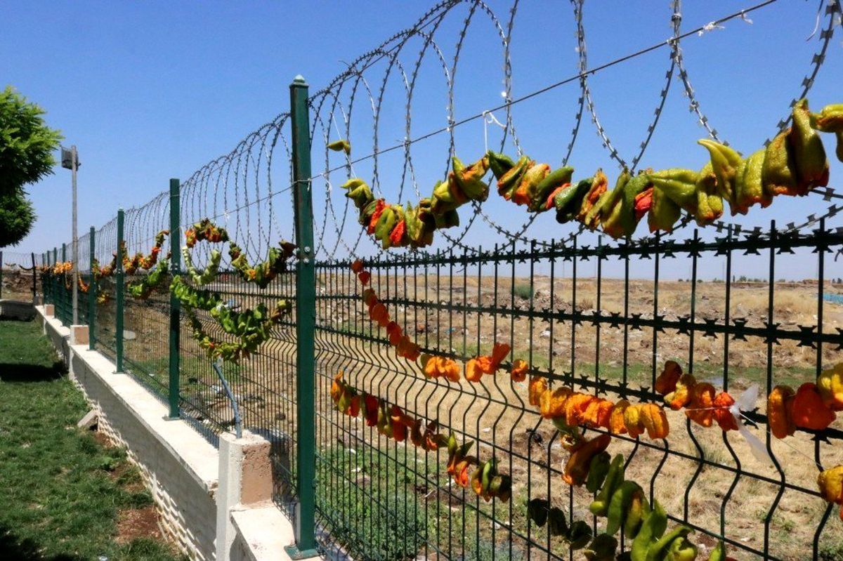 Diyarbakır\'da kurutulan biberler renkli kareler oluşturdu