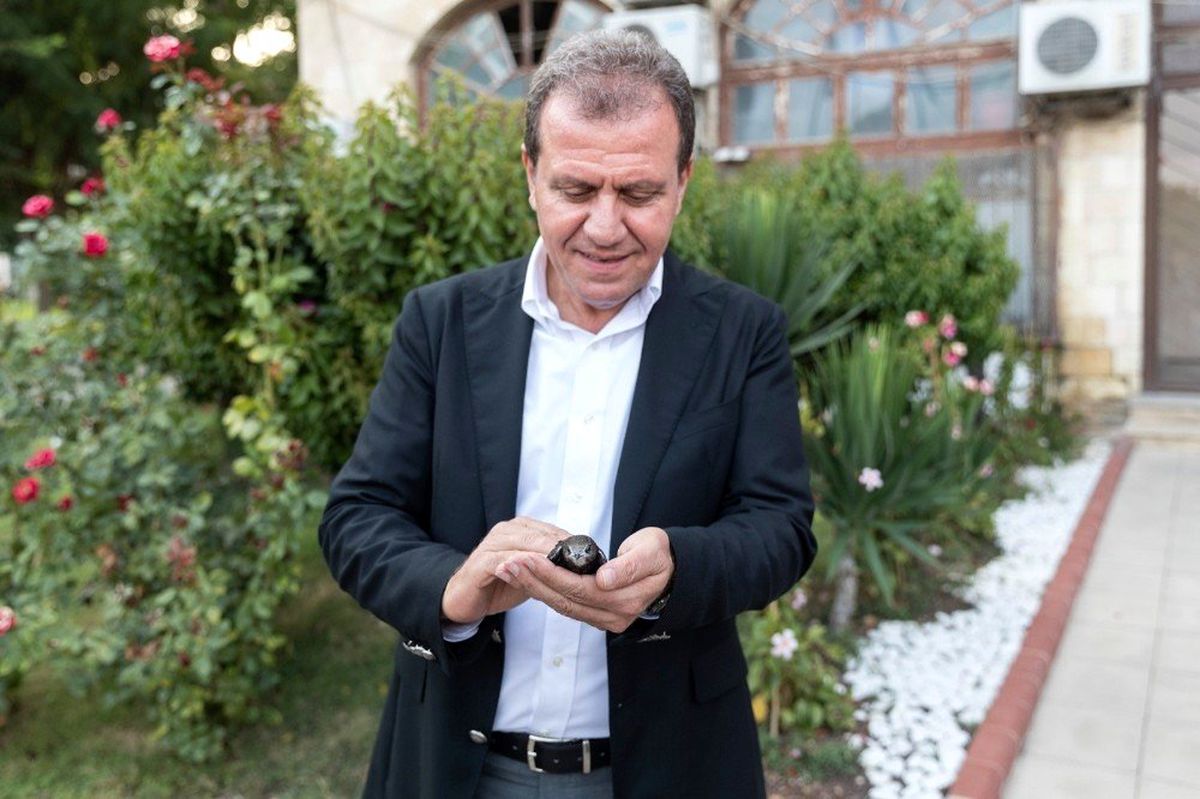 Mersin Büyükşehir\'in bahçesine ebabil kuşu kondu
