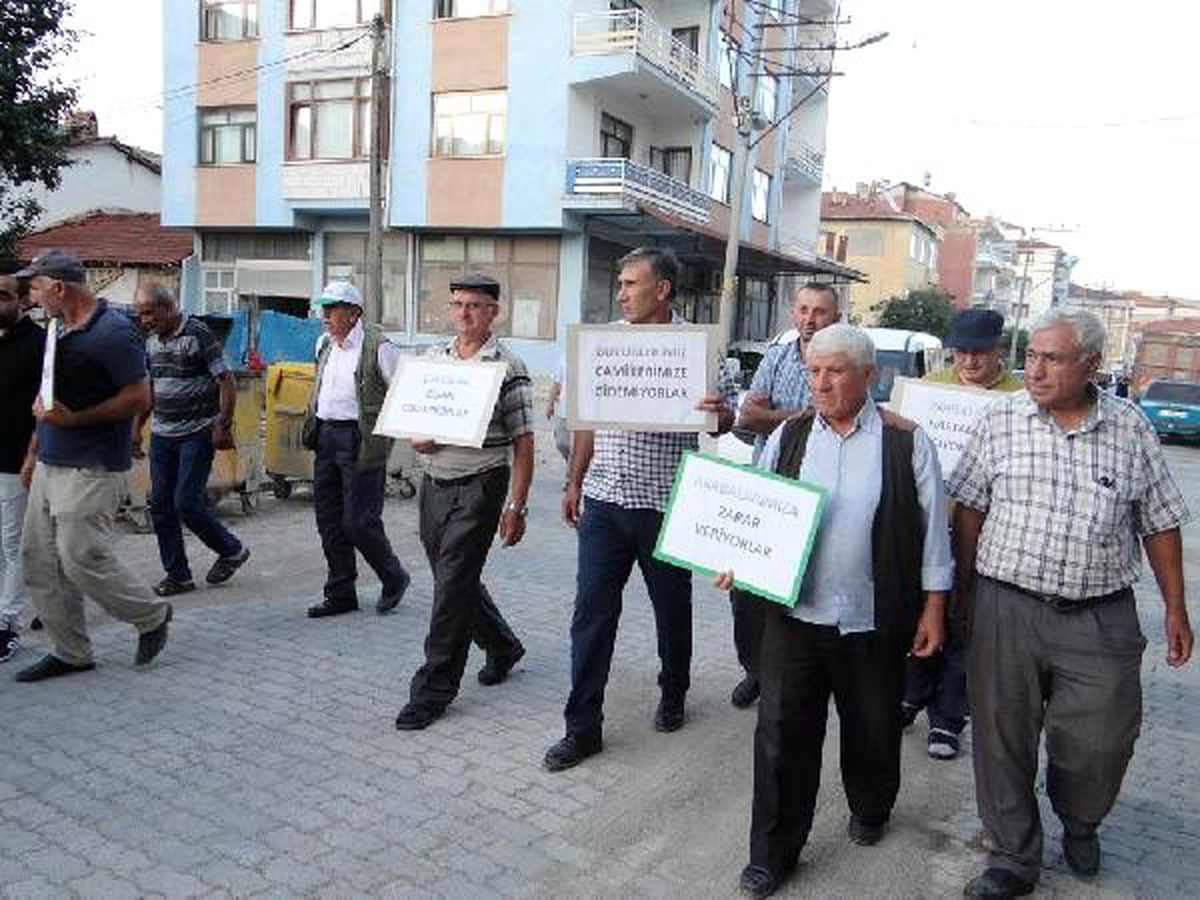 Sokak köpeklerinin toplanması için yürüdüler