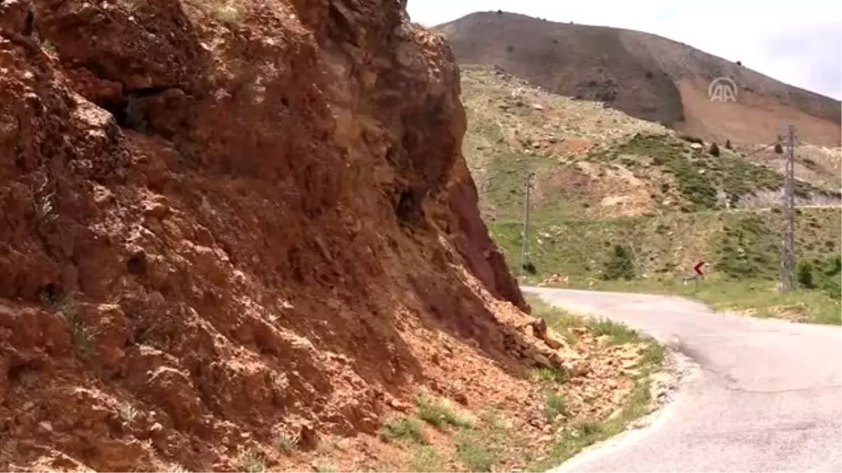 Tunceli\'de yiyecek arayan yaban keçileri kara yoluna indi