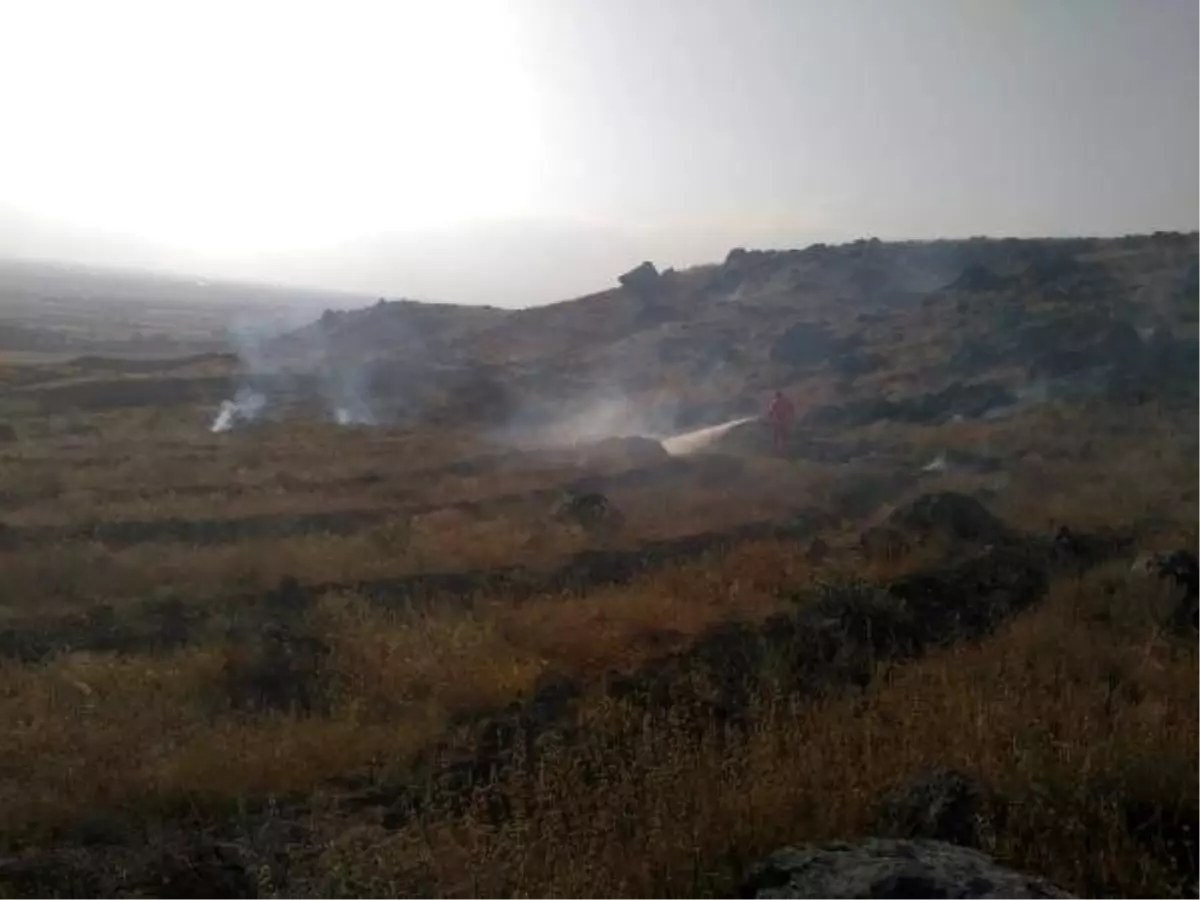 Ağaçlandırma sahasına dikilen 250 fidan yandı