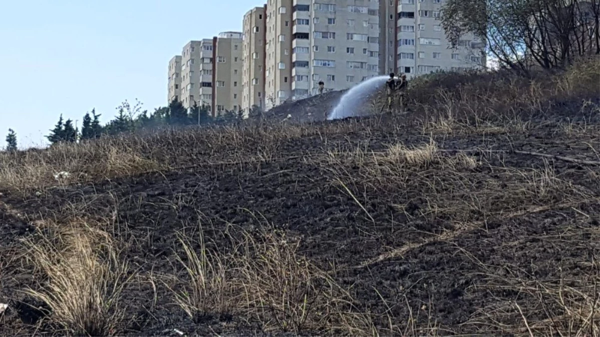 Beylikdüzü\'nde otluk alanda yangın: 4 köpek telef oldu