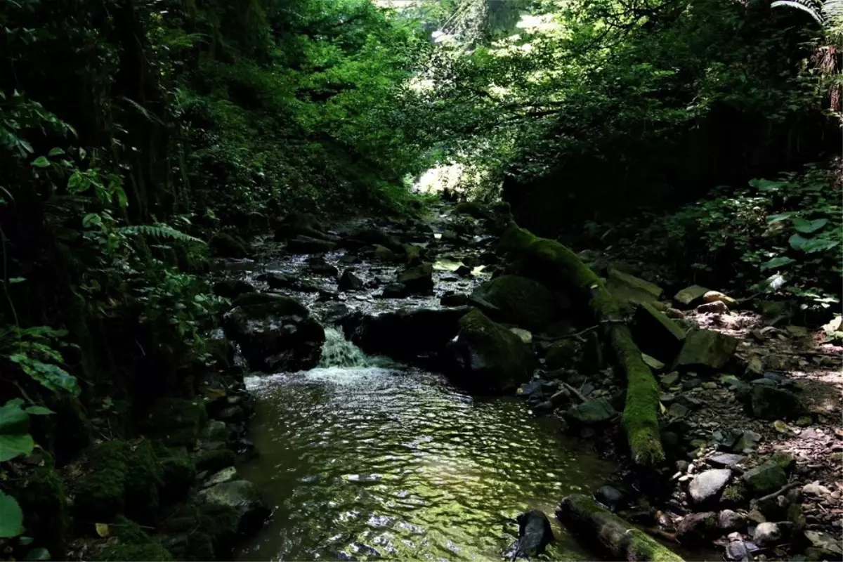 Doğa severlerin yeni rotası, Nüzhetiye Şelalesi