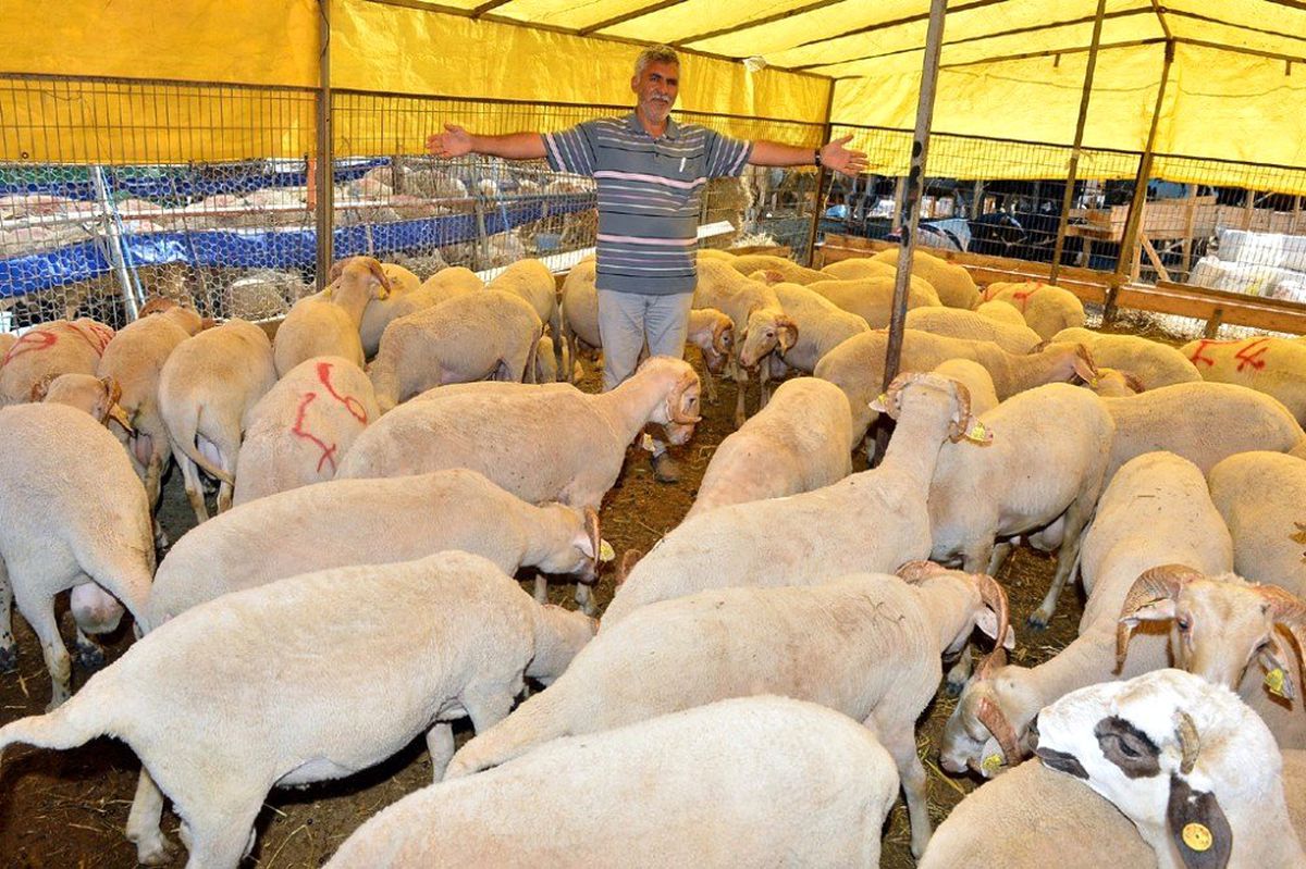 İzmir, Kurban Bayramı\'na hazır
