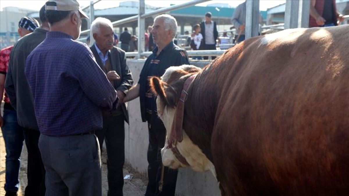 Kurban pazarlarında bayram öncesi yoğunluk