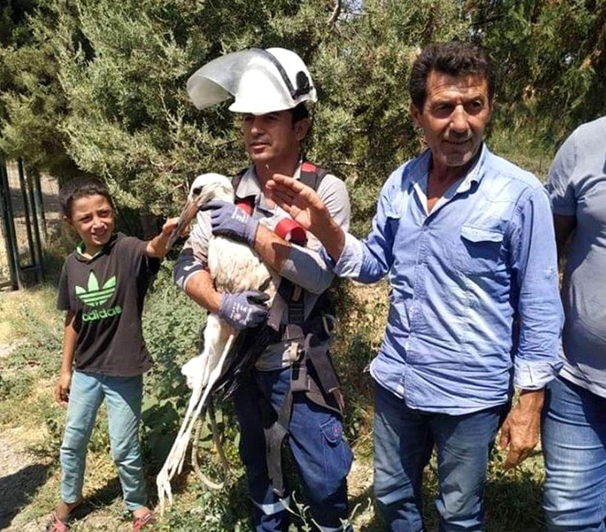 Siirt\'te ayağı iplere dolanıp elektrik direğinde mahsur kalan leylek kurtarıldı