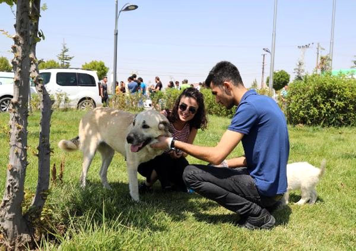 Sokak hayvanlarına mama ve su bıraktılar
