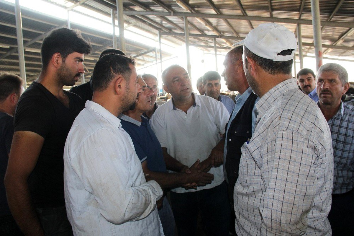 Şuhut Hayvan Borsası\'nda kurban pazarı hareketliliği