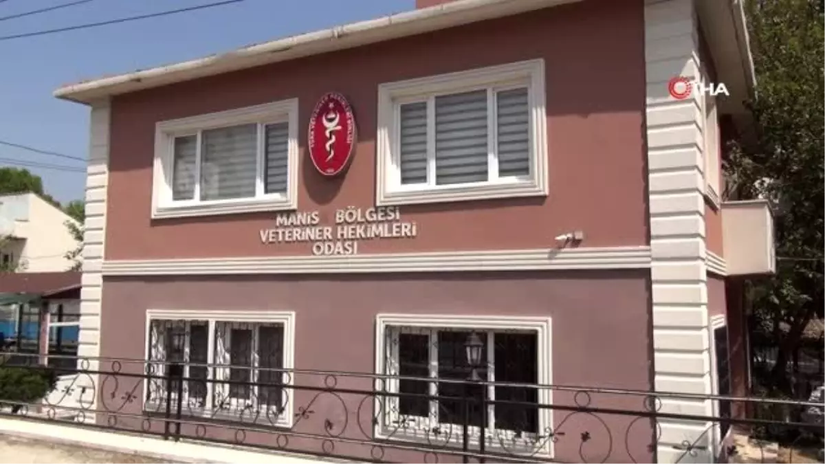 Veteriner Hekimler Odasından kurban öncesi uyarı