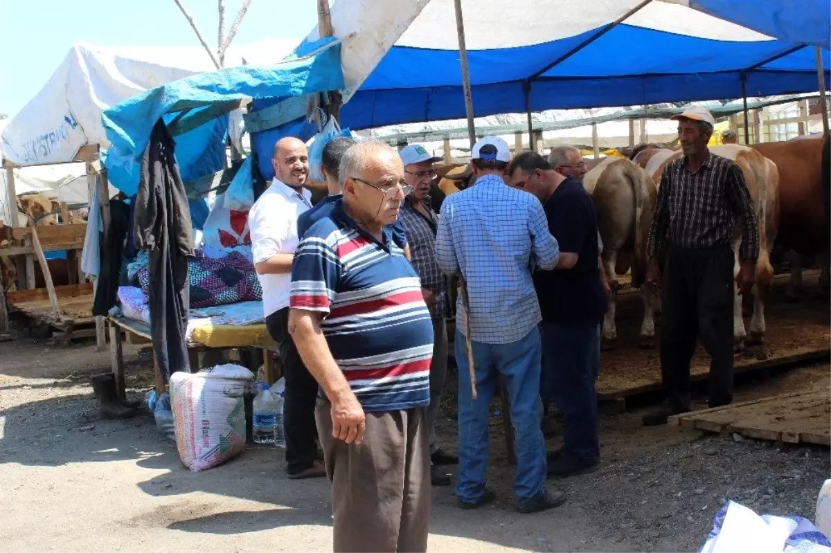 Zeytinburnu\'nda kurbanlık satışları başladı