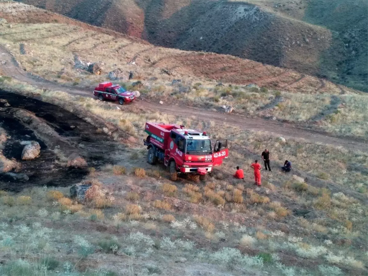 Ağaçlandırma sahasındaki yangında 250 adet fidan yandı