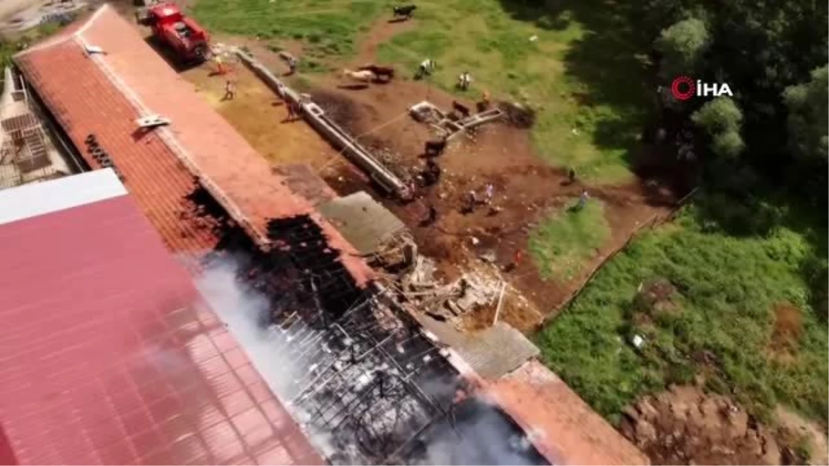 Arnavutköy\'de 11 büyükbaş hayvanın telef olduğu yangın havadan görüntülendi