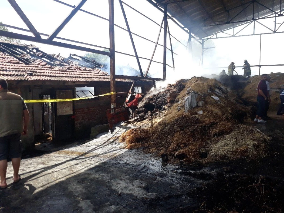 Arnavutköy\'de feci olay: 11 büyükbaş hayvan yanarak telef oldu
