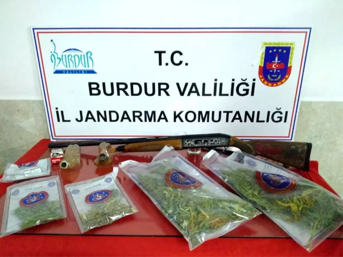 Burdur\'da kaçak kenevir ekimi yapan 2 kişi yakalandı