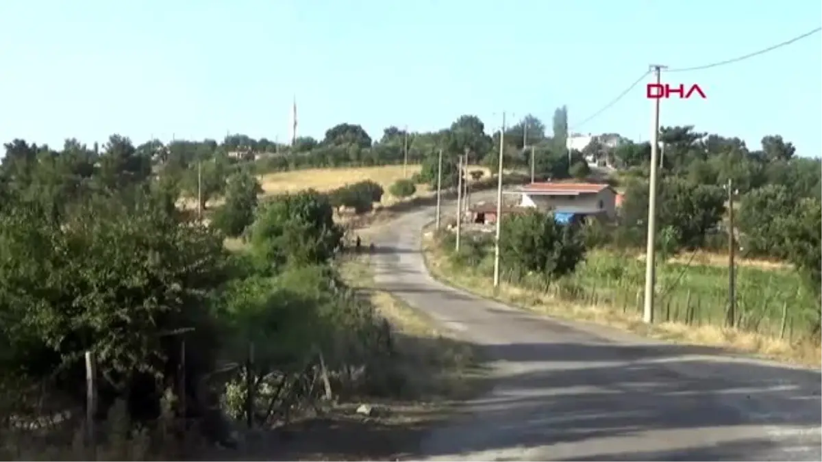 ÇANAKKALE 94 yaşında, kışlık odununu sırtında taşıyor