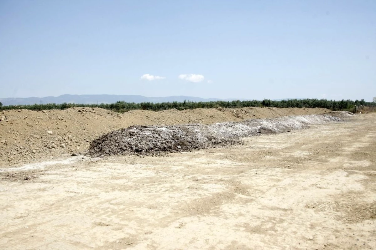 Ovaya dökülen tavuk gübresi bıktırdı