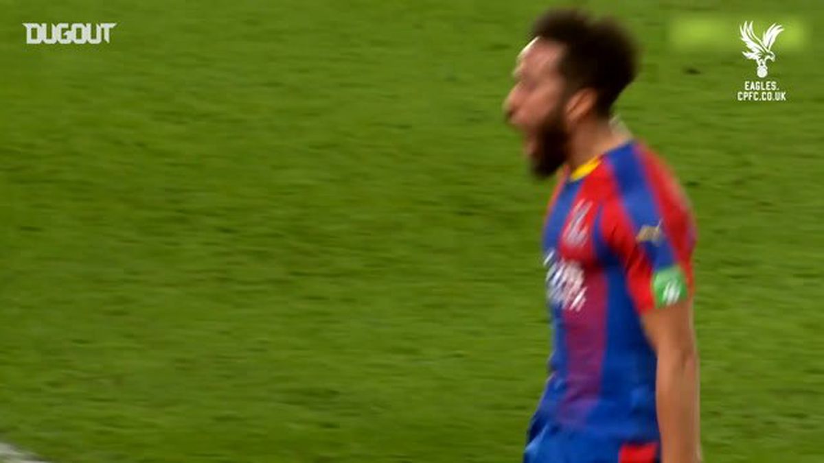 Oyuncu Profili: Andros Townsend