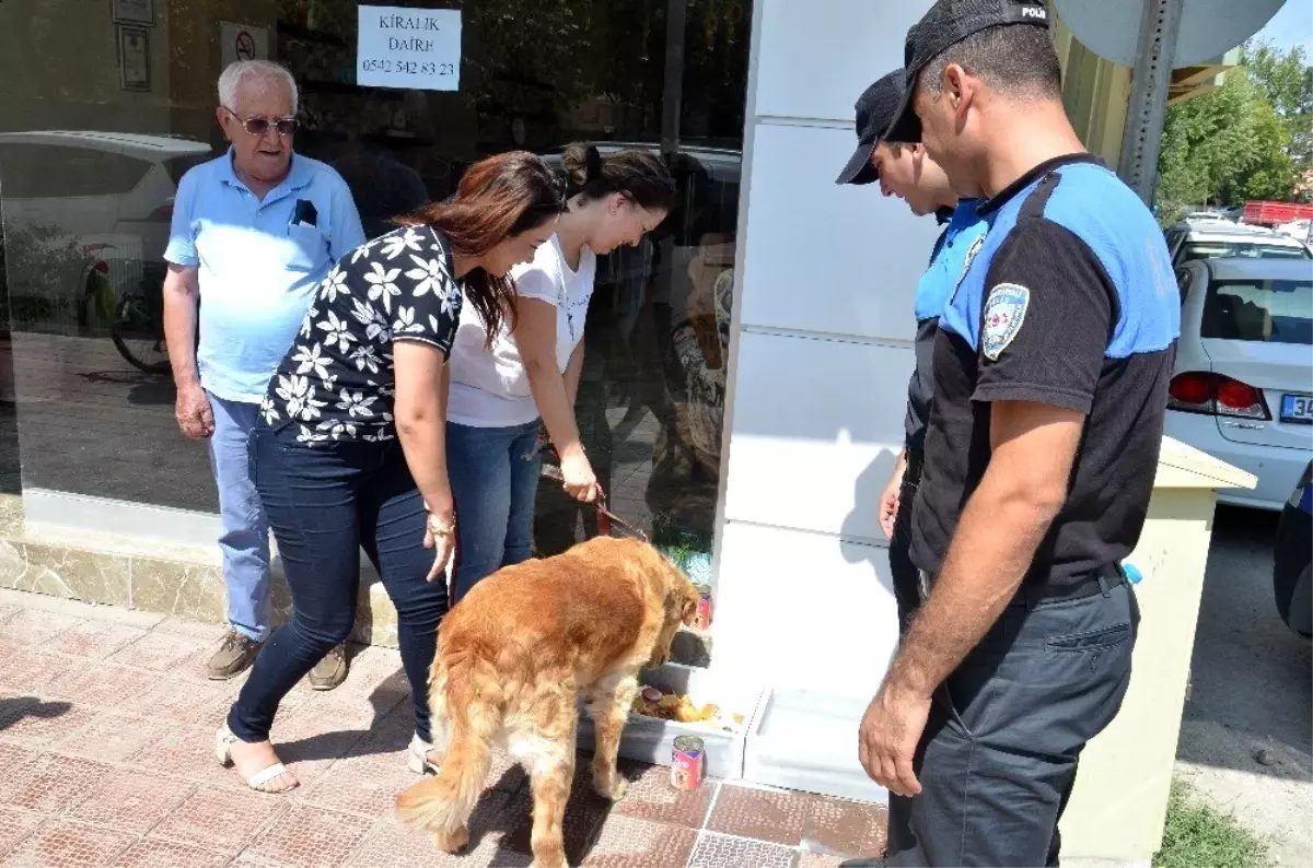 Polis, sokak hayvanlarını unutmadı