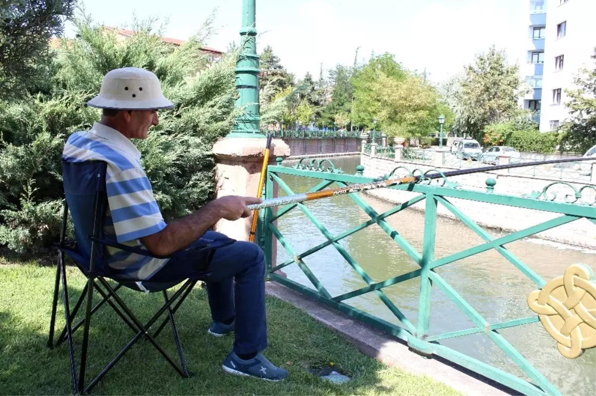 Şehir merkezinde olta keyfi