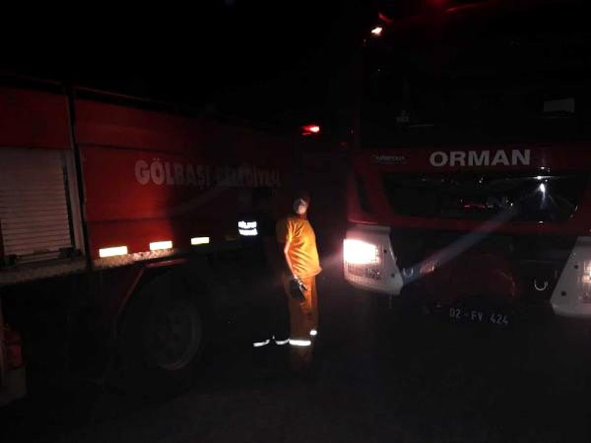 Adıyaman\'da 10 hektar ormanlık alan yandı