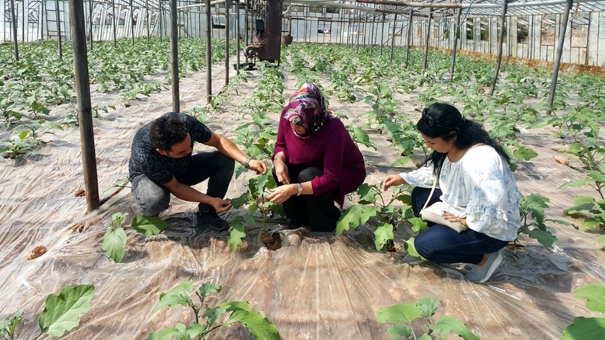 Antalya\'da 10 bin 484 çiftçiye biyolojik mücadele eğitimi verildi