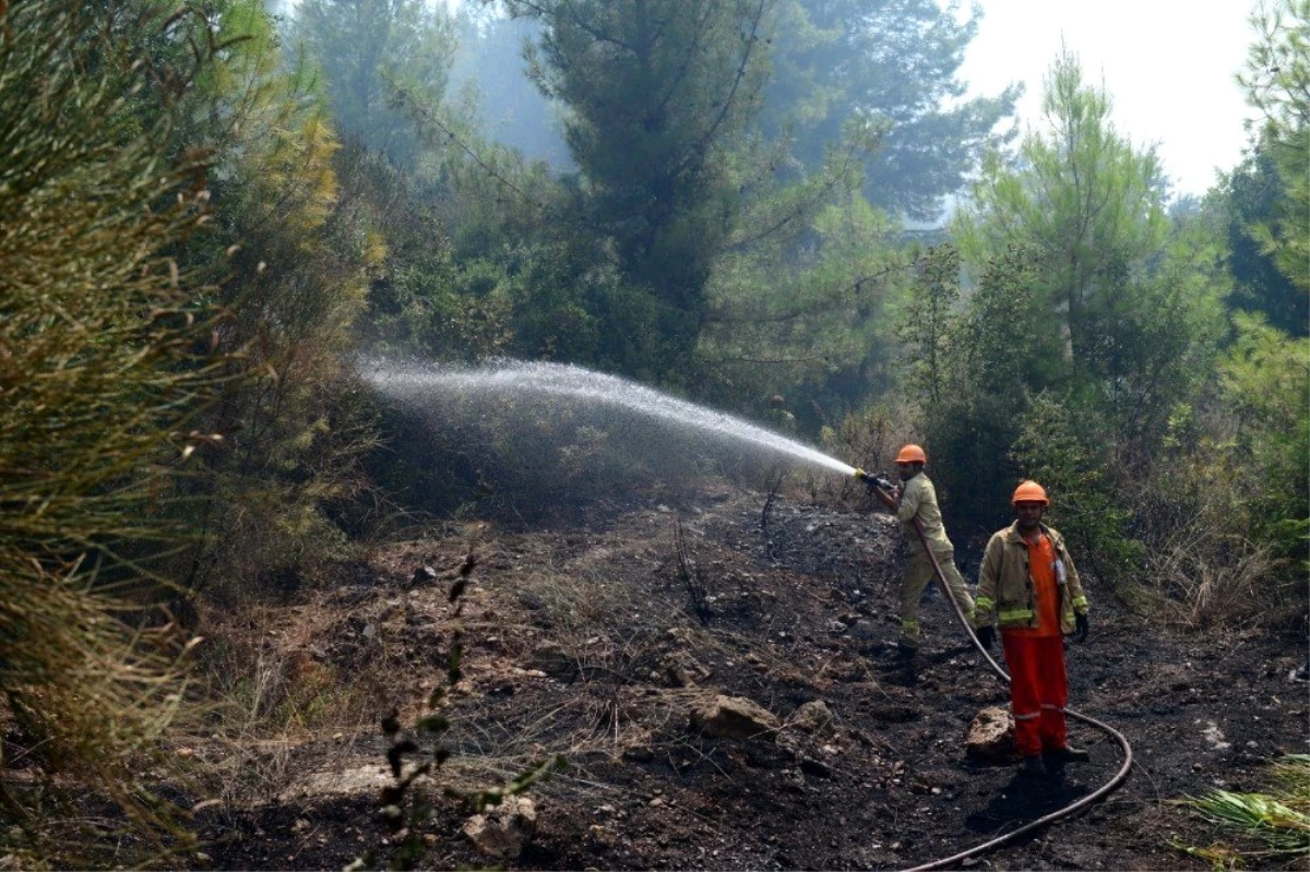 Antalya\'da orman yangını, 1 hektar orman zarar gördü