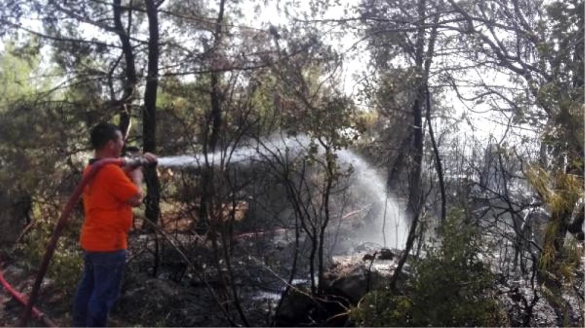 Antalya\'da orman yangını: 3 hektarlık alan yandı
