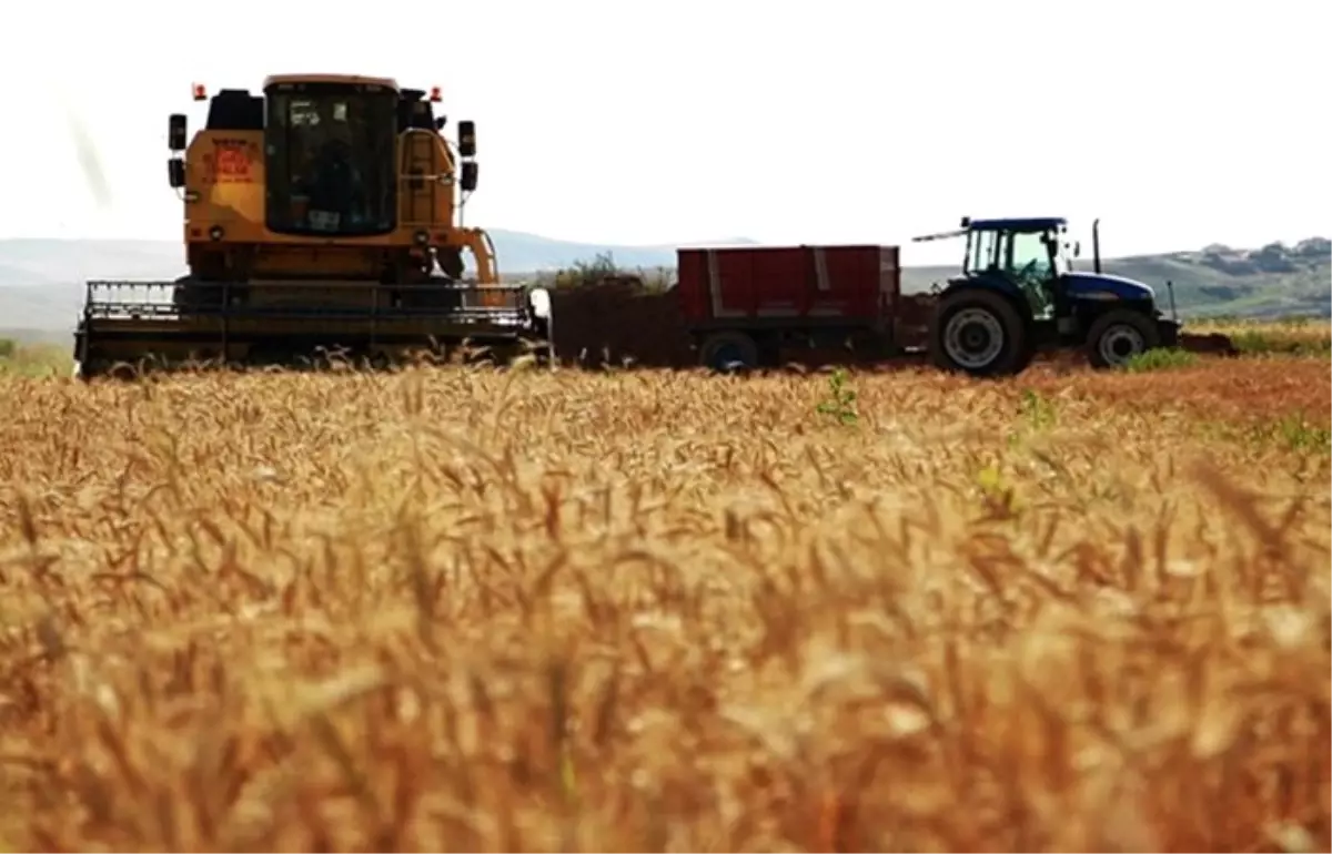 Hububat hasadından 534 milyon liralık gelir beklentisi