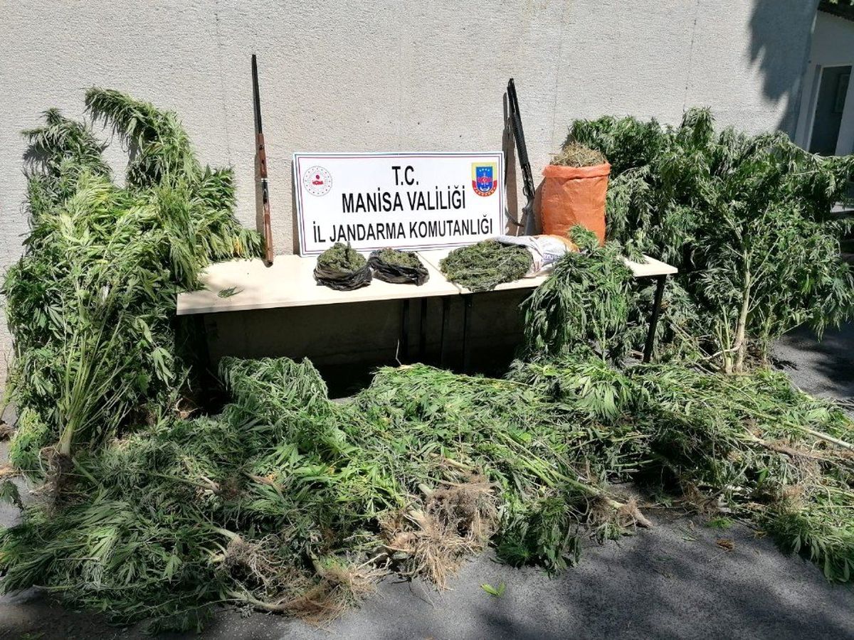 Manisa\'da uyuşturucu operasyonu: 1 gözaltı