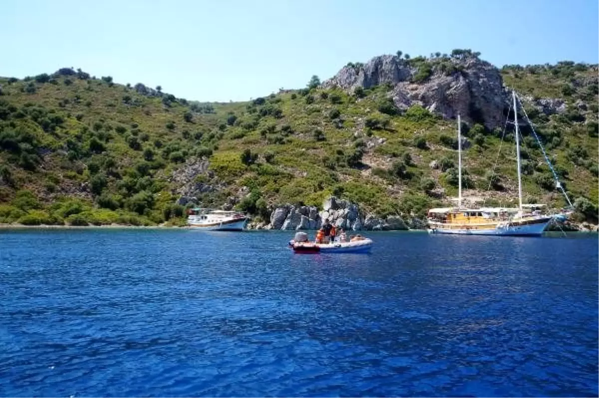 Marmaris\'te adaya terk edilen eşek, bulunamadı